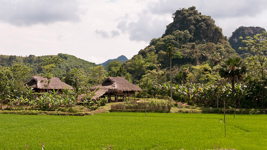 luc yen mountains vietnam